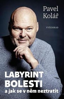 Labyrint bolesti a jak se v něm neztratit - titulka